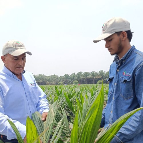 FOTO- LO QUE HACEMOS (1)